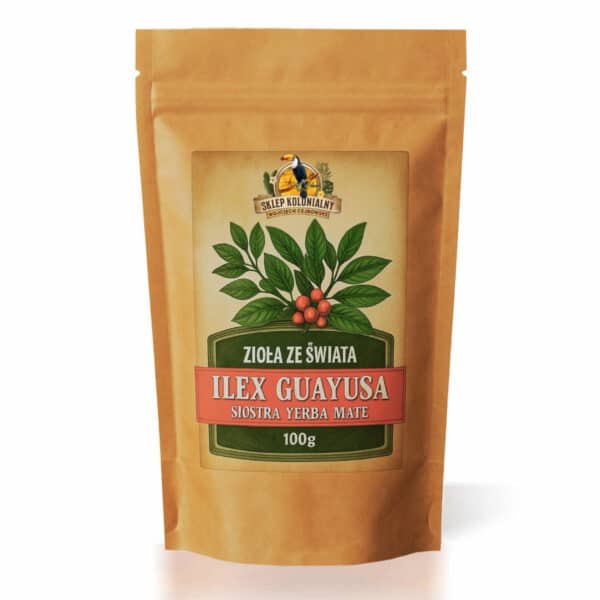 Ilex guayusa – bliski krewny yerba mate (Ilex paraguariensis)