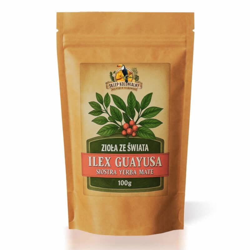 Ilex guayusa – bliski krewny yerba mate (Ilex paraguariensis)