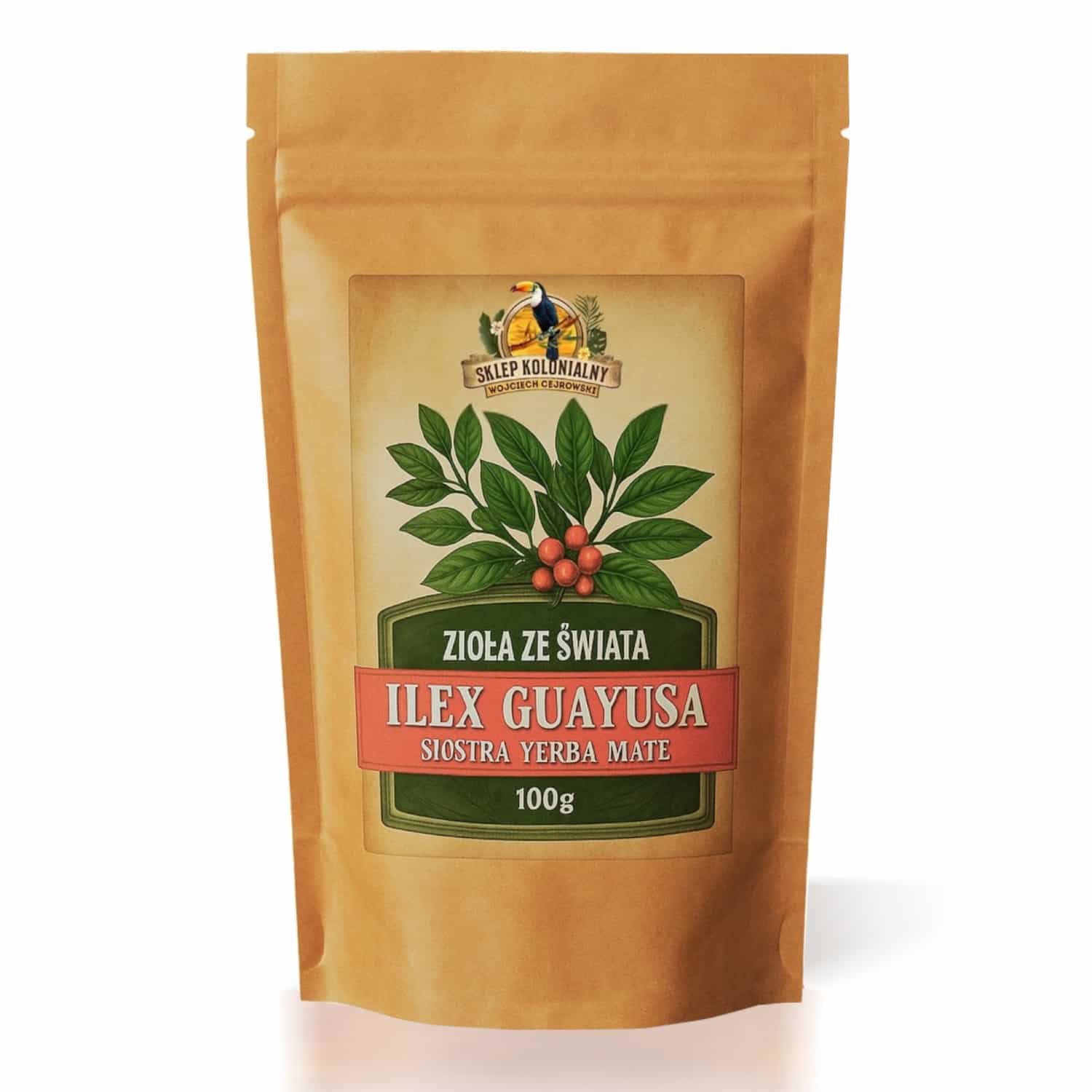 Ilex guayusa – bliski krewny yerba mate (Ilex paraguariensis)
